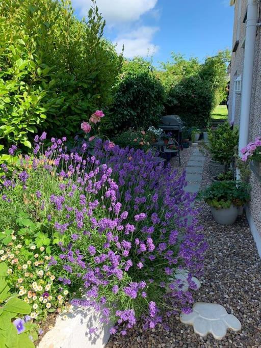 Entire 2 Bed Cottage - Llangwm Llangwm  Eksteriør bilde